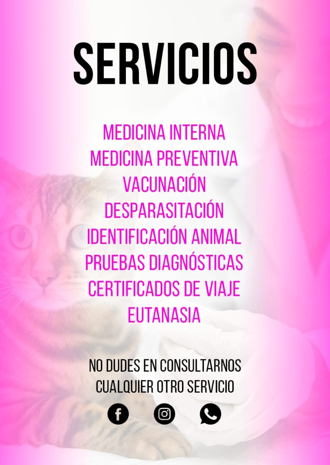 Imagen de WhatsApp 2025-04-07 a las 15.21.10_87ea4921