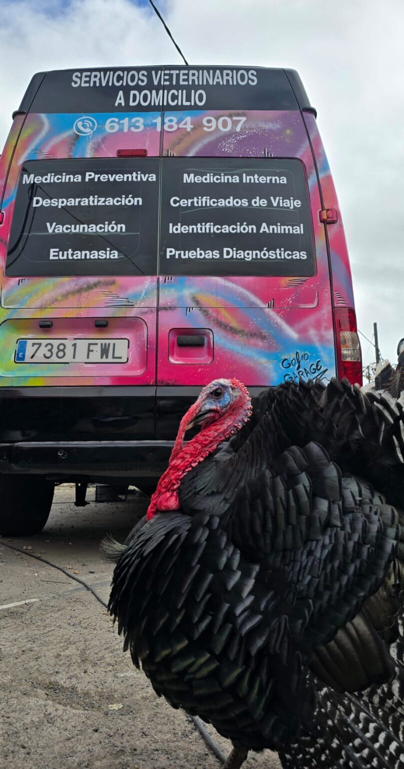 Imagen de WhatsApp 2025-04-07 a las 15.21.10_9db5963f