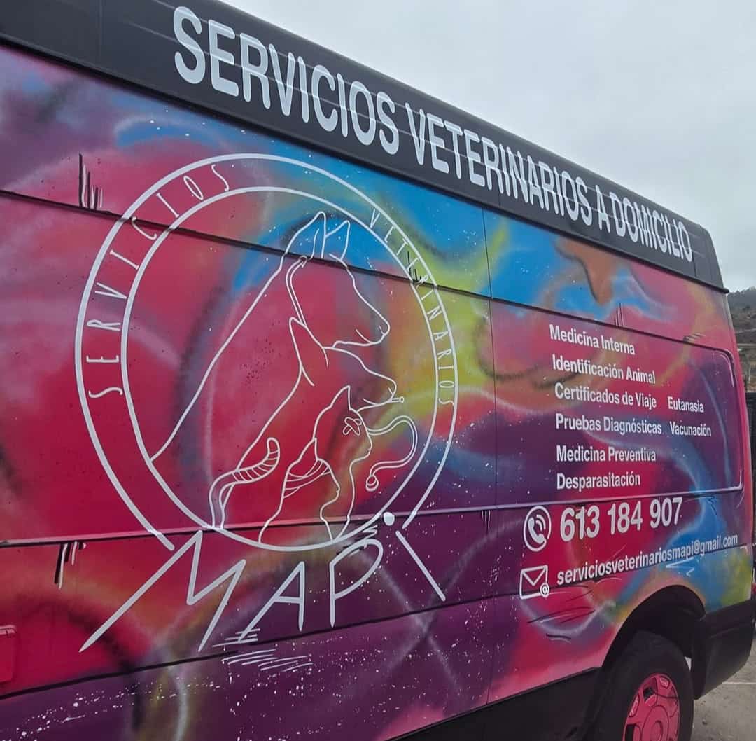 Imagen de WhatsApp 2025-04-07 a las 15.21.11_36e20f14